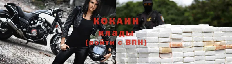 где купить   Волхов  Кокаин VHQ 